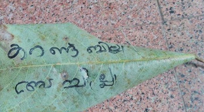 ഫ്യൂസ് ഊരിയ വിവരം ഉപഭോക്താവിനെ ഇലയില് എഴുതി ട്രോളി കെ.എസ്.ഇ.ബി