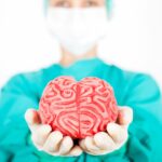 brain