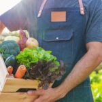 vegetables
