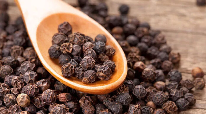 ശരീരത്തിന്റെ ആരോഗ്യത്തിന് ഏറെ ഗുണം ചെയ്യുന്ന ഒരു സുഗന്ധവ്യജ്ഞനമാണ് കുരുമുളക്
