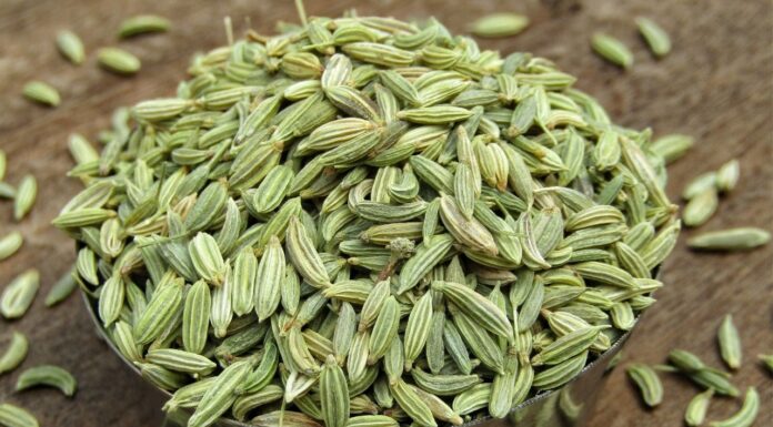 ഭക്ഷണത്തിന് ശേഷം പെരുംജീരകം ചവയ്ക്കാറുണ്ടോ?