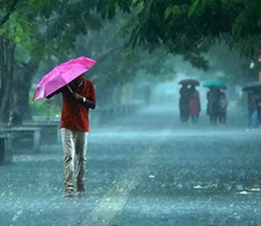 ഇന്നും മഴ കനക്കും: രണ്ട് ജില്ലകളില് ഓറഞ്ച് അലര്ട്ട്
