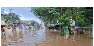 കനത്ത മഴയില് മുങ്ങി റാന്നി: ടൗണില് അരയ്ക്കൊപ്പം വെള്ളം