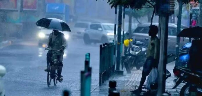 WhatsApp Image 2026-08-19 at 4.46.23 PM