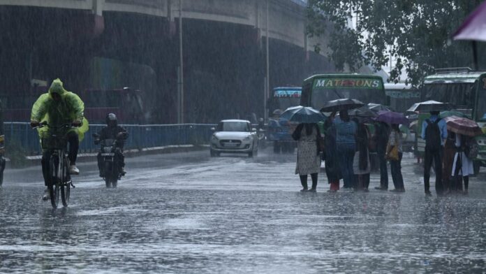 rain alert
