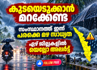 ഇന്ന് മഴ പെയ്തേക്കും. ഏഴ് ജില്ലകളില് യെല്ലോ അലേര്ട്ട്