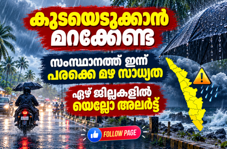 ഇന്ന് മഴ പെയ്തേക്കും. ഏഴ് ജില്ലകളില് യെല്ലോ അലേര്ട്ട്